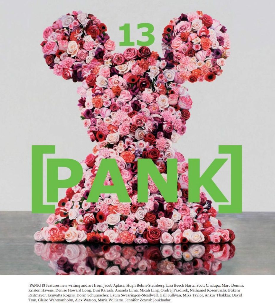 PANK 13 cover